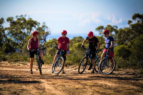 Blue Labyrinth Tour: Sydney Blue Mountains By E-Bike - Accommodation Mount Tamborine 3