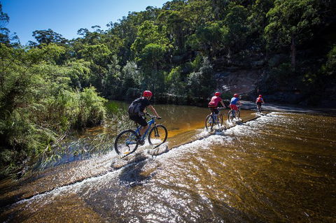 Blue Labyrinth Tour: Sydney Blue Mountains By E-Bike - Accommodation Mount Tamborine 7