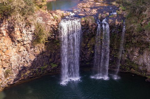 Rainforest & Waterfall Experience - Accommodation Mount Tamborine 1