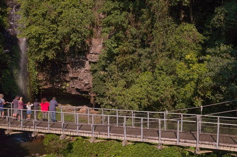 Rainforest & Waterfall Experience - Accommodation Mount Tamborine 4