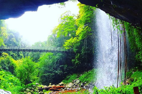 Rainforest & Waterfall Experience - Accommodation Mount Tamborine 6