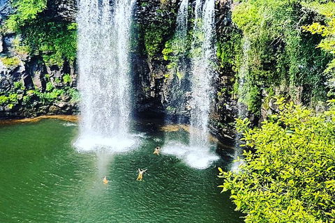 Rainforest & Waterfall Experience - Accommodation Mount Tamborine 2