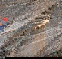 Small-Group Full-Day Rock Climbing Adventure from Katoomba - Accommodation Mount Tamborine