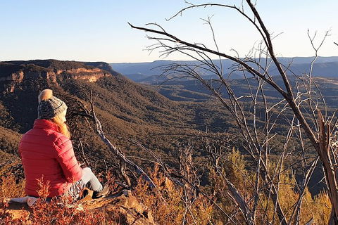 Ultimate Blue Mountains Waterfalls, Walks & Sunset PRIVATE Tour - Accommodation Mount Tamborine 5