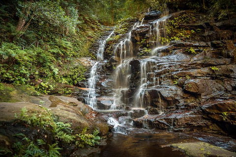 Ultimate Blue Mountains Waterfalls, Walks & Sunset PRIVATE Tour - Accommodation Mount Tamborine 10
