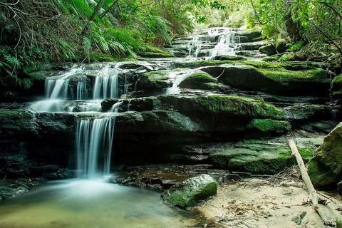 Ultimate Blue Mountains Waterfalls, Walks & Sunset PRIVATE Tour - Accommodation Mount Tamborine 2