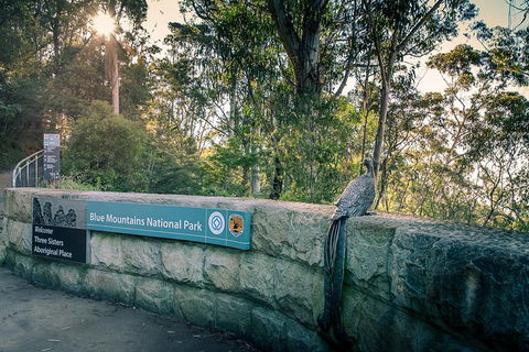Ultimate Blue Mountains Waterfalls, Walks & Sunset PRIVATE Tour - Accommodation Mount Tamborine 8