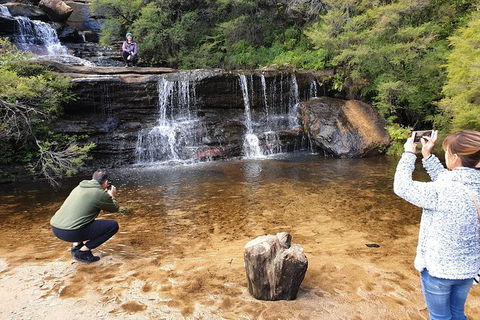 Ultimate Blue Mountains Waterfalls, Walks & Sunset PRIVATE Tour - Accommodation Mount Tamborine 0