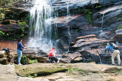 Ultimate Blue Mountains Waterfalls, Walks & Sunset PRIVATE Tour - Accommodation Mount Tamborine 11