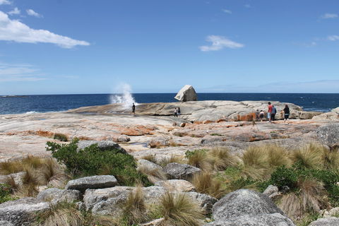 Bicheno Blowhole - Accommodation Mount Tamborine 1