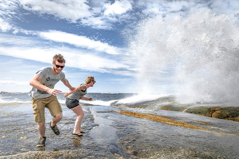 Bicheno Blowhole - Accommodation Mount Tamborine 2