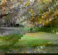 Gateway Island Parklands - Accommodation Mount Tamborine
