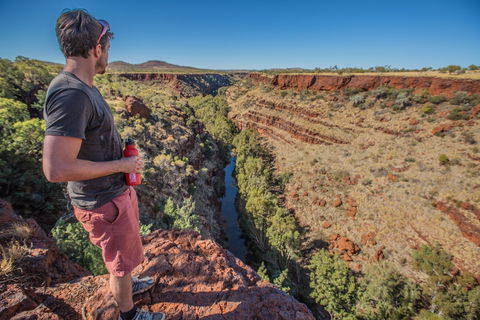 Gorge Rim Walk, Dales Gorge - Accommodation Mount Tamborine 0