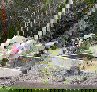 Maroochy Regional Bushland Botanic Garden - Accommodation Mount Tamborine