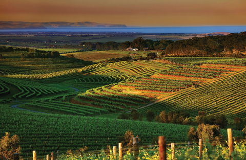 Mclaren Vale - Accommodation Mount Tamborine 1