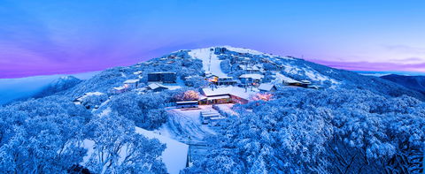 Mt Buller Alpine Resort - Accommodation Mount Tamborine 0