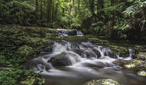 Protesters Falls Walking Track - Accommodation Mount Tamborine 0