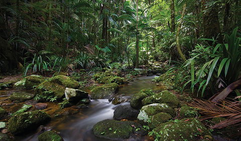 Protesters Falls Walking Track - Accommodation Mount Tamborine 2