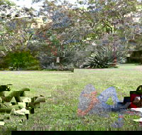 Waterfall Flat Picnic Area - Accommodation Mount Tamborine