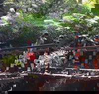 Glow Worm Tunnel Hike - Accommodation Mount Tamborine