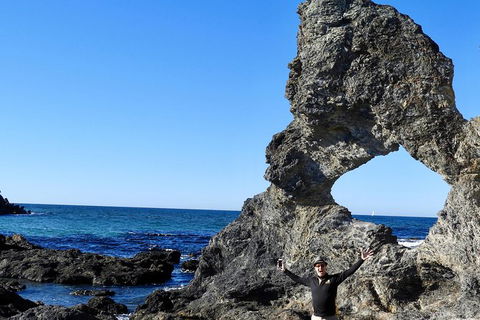 Narooma And Tilba Valley Private Tour - Accommodation Mount Tamborine 4