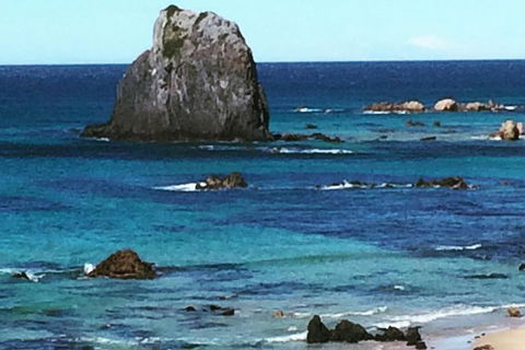 Narooma And Tilba Valley Private Tour - Accommodation Mount Tamborine 9