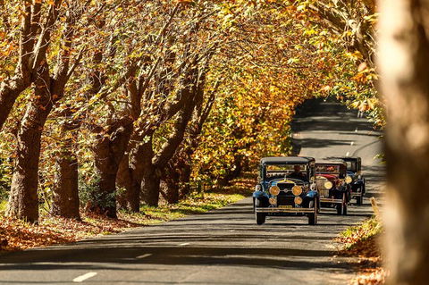 Blue Mountains Vintage Cadillac Tour With Local Guide - Accommodation Mount Tamborine 8