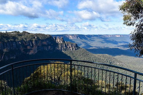 Blue Mountains Vintage Cadillac Tour With Local Guide - Accommodation Mount Tamborine 1