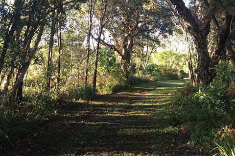 Coffs Harbour To Sawtell Bike Ride - Accommodation Mount Tamborine 7