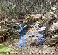 Newnes Ruins Walking Tour - Accommodation Mount Tamborine