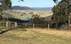 Interactive Farm Tours On A Beef, Lamb And Duck Farm - thumb 5