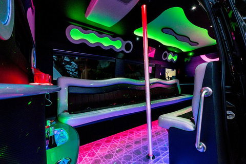 Private Group: Sydney To Hunter Valley Limo Wine Tasting - Accommodation Mount Tamborine 1