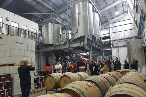 Hunter Valley Small Group Wine, Gin, Cheese & Chocolate Tour - Accommodation Mount Tamborine 6