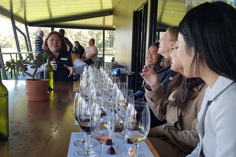 Hunter Valley Small Group Wine, Gin, Cheese & Chocolate Tour - Accommodation Mount Tamborine 2