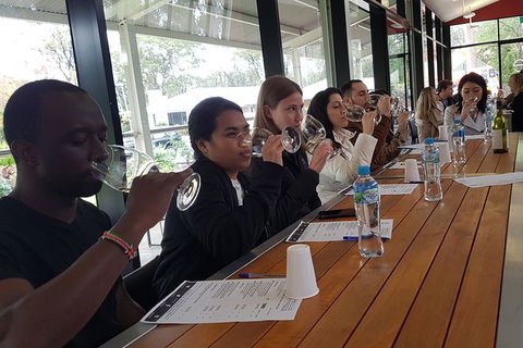 Hunter Valley Small Group Wine, Gin, Cheese & Chocolate Tour - Accommodation Mount Tamborine 3