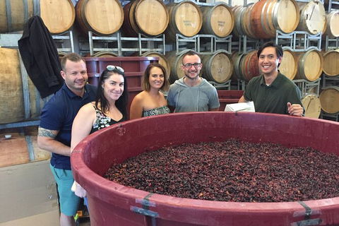 Hunter Valley Small Group Wine, Gin, Cheese & Chocolate Tour - Accommodation Mount Tamborine 0