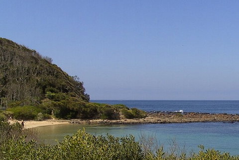 Broulee Island Nature Reserve: An Audio Tour Of This Tranquil Island Paradise - Accommodation Mount Tamborine 4