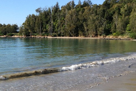 Broulee Island Nature Reserve: An Audio Tour Of This Tranquil Island Paradise - Accommodation Mount Tamborine 0