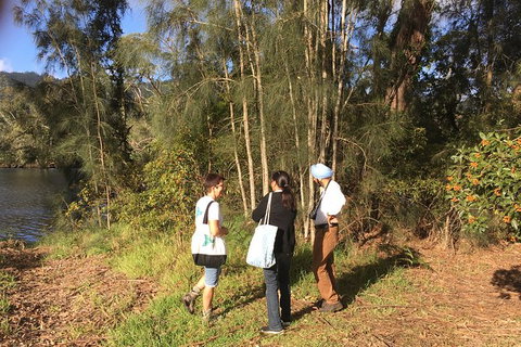 Fishermans Paradise Eco-walk - Accommodation Mount Tamborine 1