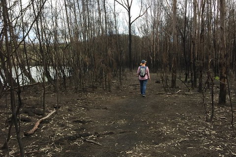 Fishermans Paradise Eco-walk - Accommodation Mount Tamborine 5