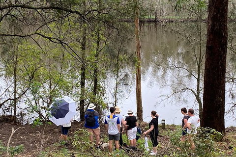 Fishermans Paradise Eco-walk - Accommodation Mount Tamborine 2