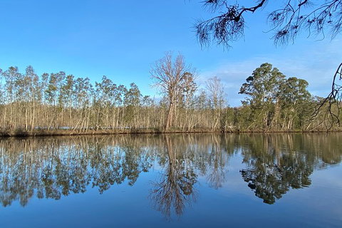 Fishermans Paradise Eco-walk - Accommodation Mount Tamborine 4