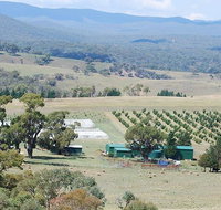 Truffle Hunt and Luncheon - Accommodation Mount Tamborine