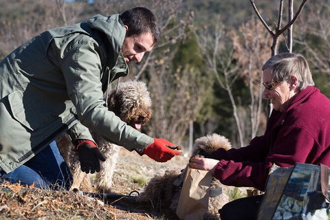 Truffle Hunt And Luncheon - Accommodation Mount Tamborine 2