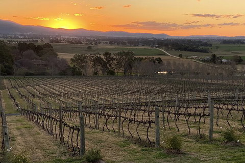 Mudgee 2 Day Private Wine Tasting And Sightseeing Tour From Sydney - Accommodation Mount Tamborine 15