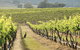 Mudgee 2 Day Private Wine Tasting And Sightseeing Tour From Sydney - thumb 4