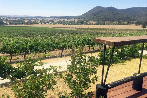Mudgee 2 Day Private Wine Tasting And Sightseeing Tour From Sydney - Accommodation Mount Tamborine 1