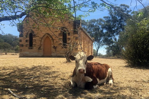 Mudgee 2 Day Private Wine Tasting And Sightseeing Tour From Sydney - Accommodation Mount Tamborine 12