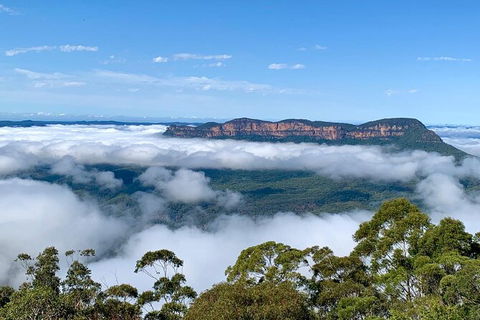 Taste Of The Blue Mountains - Lunch & Wine Tasting, Beer, Cider & Gin Tasting - Accommodation Mount Tamborine 3