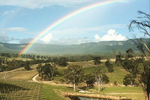 Taste Of The Blue Mountains - Lunch & Wine Tasting, Beer, Cider & Gin Tasting - Accommodation Mount Tamborine 2